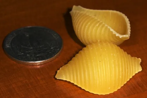 conchiglie: 4. obrázek
